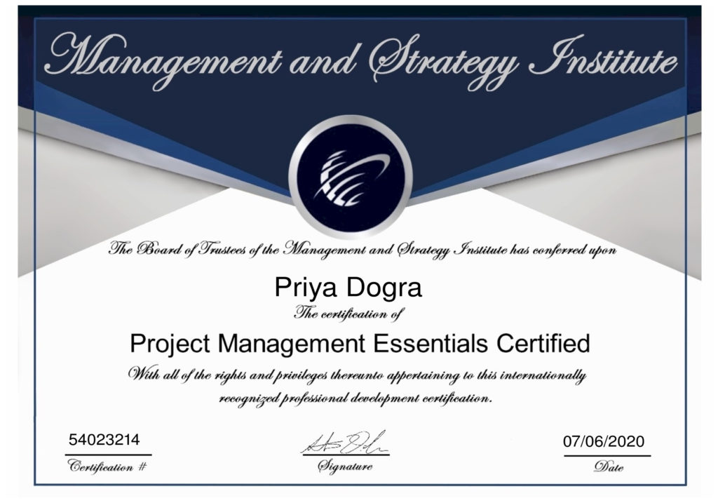 pmp certificate at camtel work in projet director