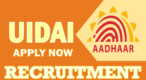 aadhaar internship