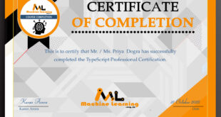 Typescript professional certification